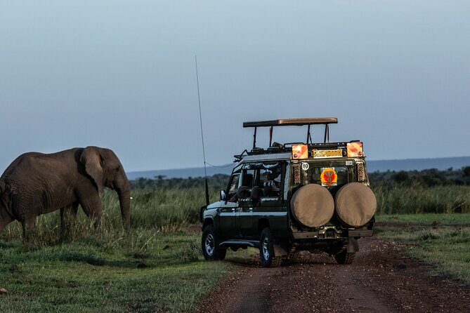 4 Days Safari from Mombasa to Amboseli and Tsavo West and East - Key Points