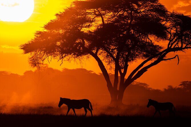 4 Days Safari from Mombasa to Amboseli and Tsavo West and East - Frequently Asked Questions