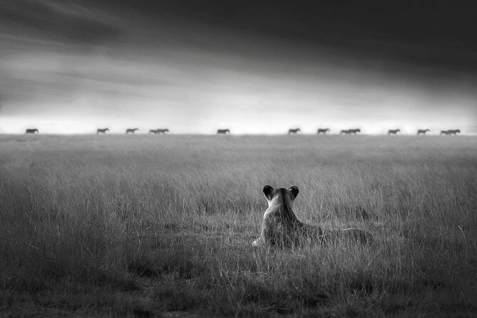 4 days safari in Tanzania - Why Choose This Safari?