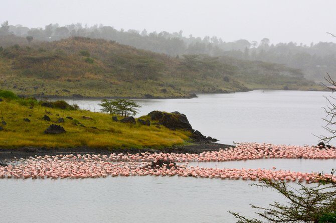 4 days Safari Lake Manyara, Ngorongoro crater and Serengeti - Final Thoughts: Who Will Love This Safari?