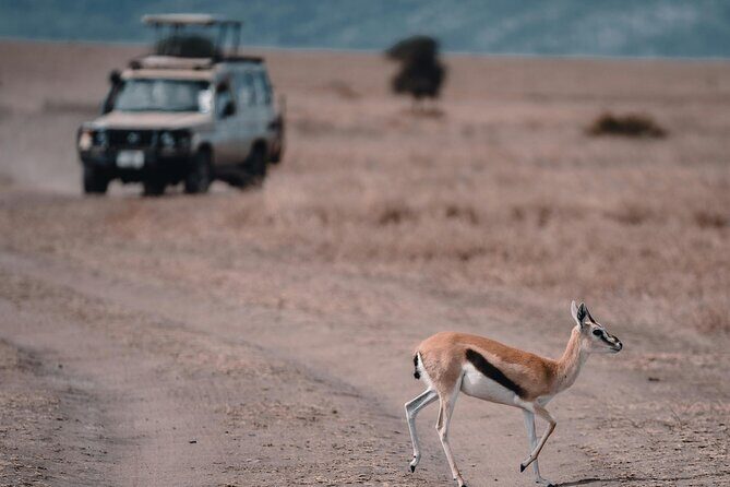 4 Days Safari Tour at Tarangire, Serengeti and Ngorongoro Crater - Pricing and Value