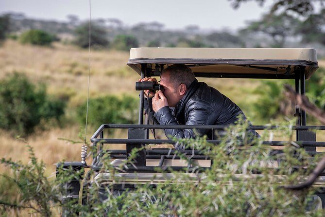 4 Days safari Tour Tanzania - Analyzing the Value