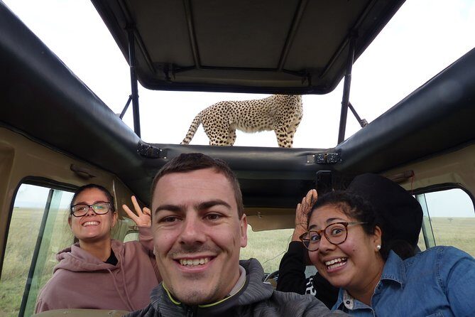 4 Days safari Tour Tanzania - Who Should Consider This Safari?