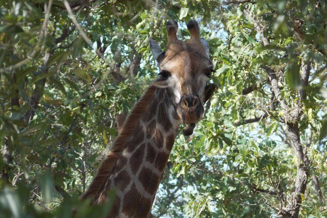 4 Days Senegambia Supremo - Introducing the 4 Days Senegambia Supremo Tour