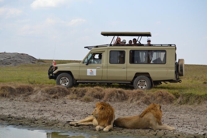 4 Days Serengeti Heritage Safari - Introduction