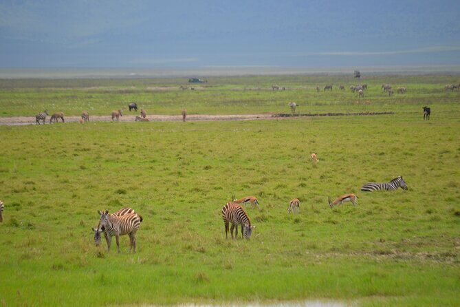 4 days serengeti & ngorongoro mid range tour - Who Will Love This Tour?