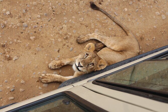 4 Days Serengeti NP, Ngorongoro Crater & Tarangire NP Safari - Key Points