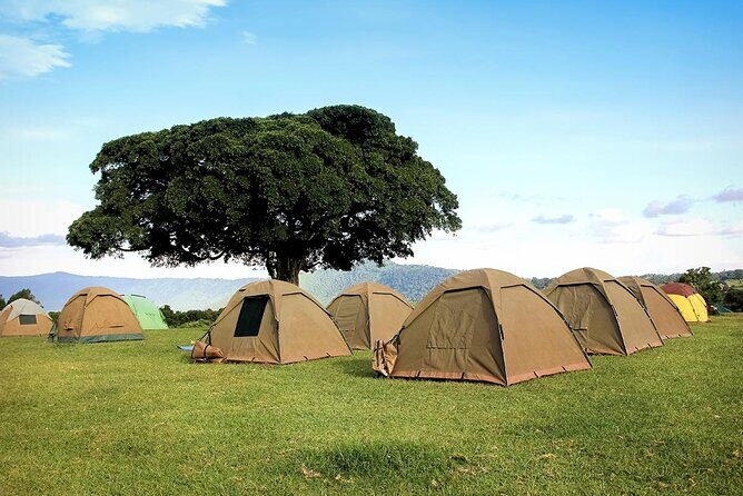 4 Days Serengeti NP, Ngorongoro Crater & Tarangire NP Safari - Who Would Love This Tour?