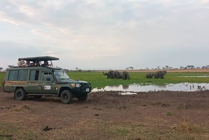 4 Days-SERENGETI SAFARI EXPERENCE START FROM ARUSHA - Authentic Wildlife Encounters