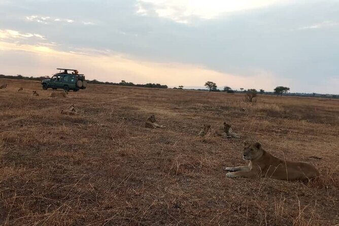 4 Days-SERENGETI SAFARI EXPERENCE START FROM ARUSHA - The Sum Up