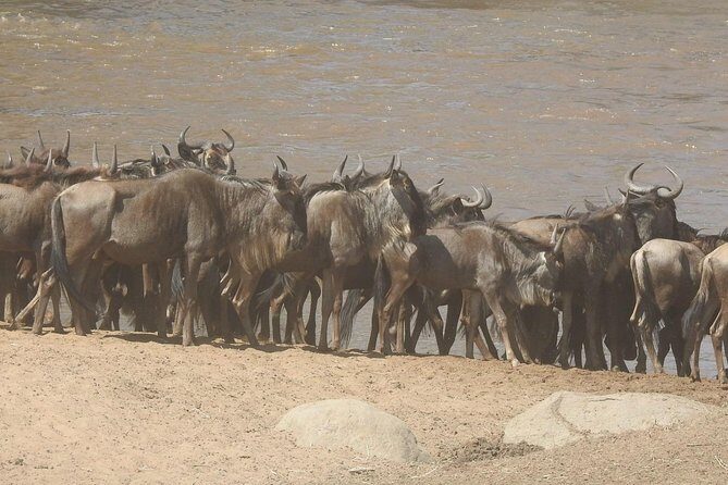 4 Days Tanzania Budget Safari - FAQ