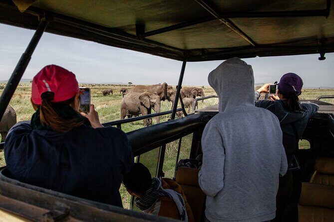 4 Days Tanzania Budget Safari - The Sum Up