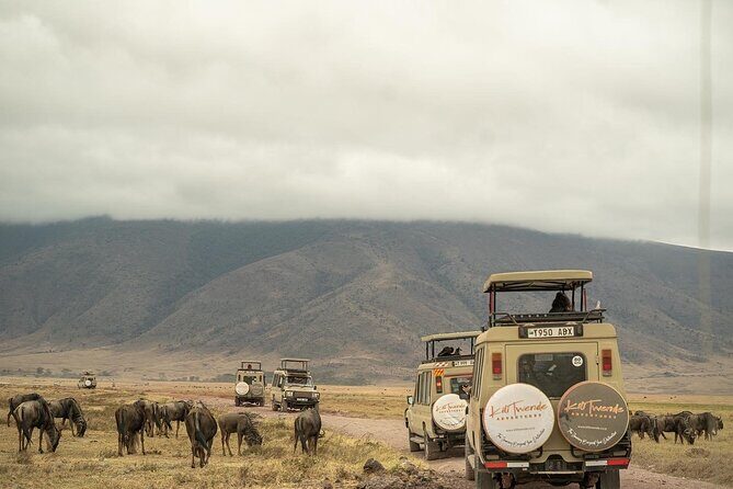 4 Days Tanzania Budget Safari - FAQs