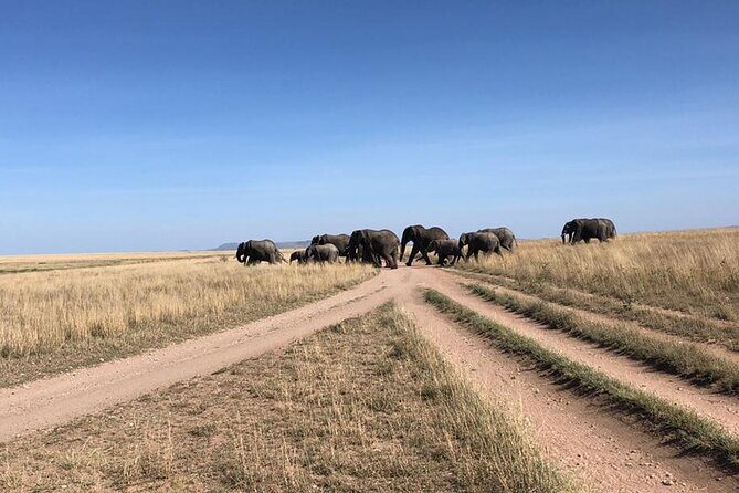 4 Days Tanzania Camping Safari - Who Should Consider This Safari?