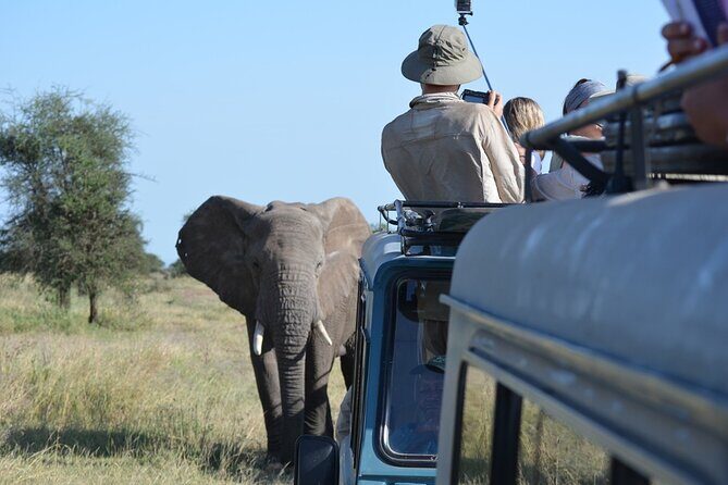4 Days Tanzania Lodge Safari With Two Nights at Serengeti - Discovering Tanzania’s Wildlife in Four Days