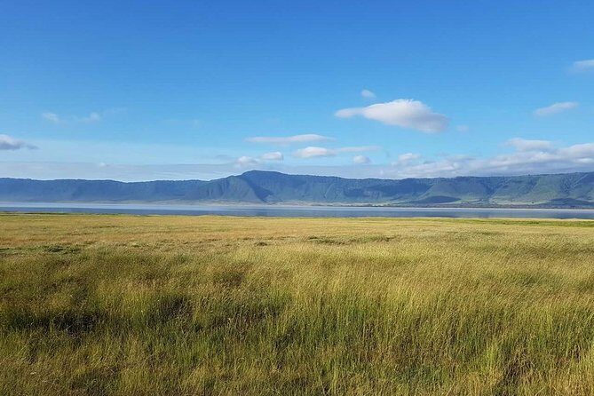 4 Days Tanzania Luxury Safari - The Sum Up