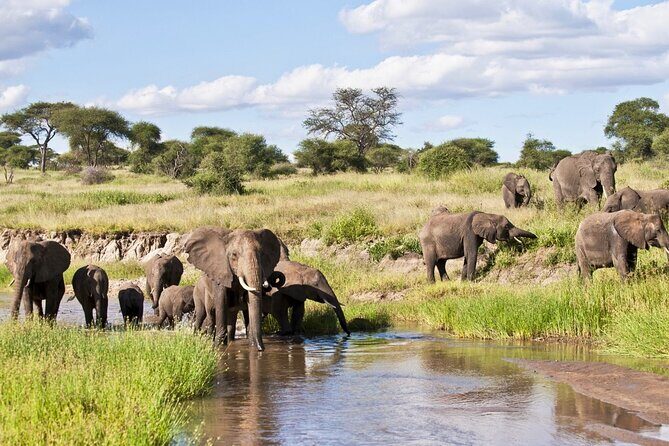 4 Days Tanzania National Parks Private Safari from Zanzibar - The Sum Up