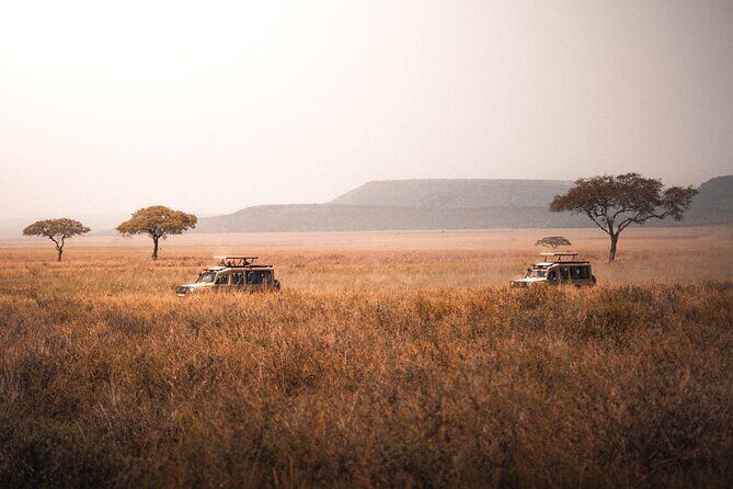 4 Days Tanzania Private Lodge Safari - Day 2: From Ngorongoro to Serengeti – The Crater and Maasai Culture