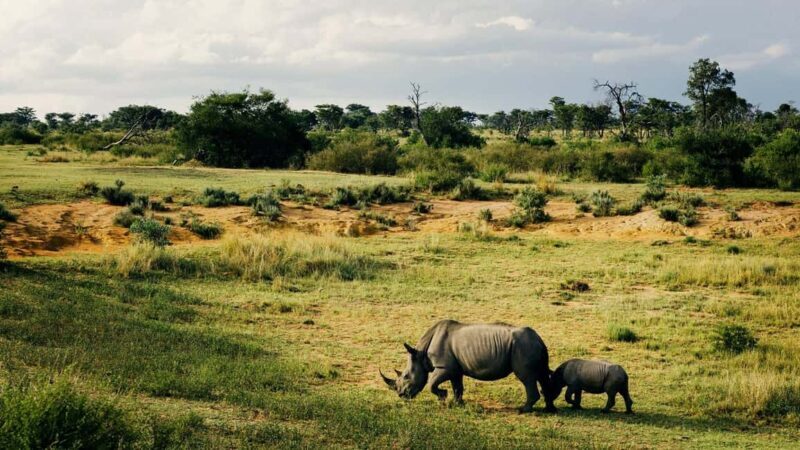 4 Days Tanzania Safari - Key Points