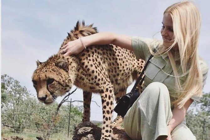 4 Days Tanzania Safari Tarangire, Serengeti and Ngorongoro Crater - What Makes This Tour Stand Out?