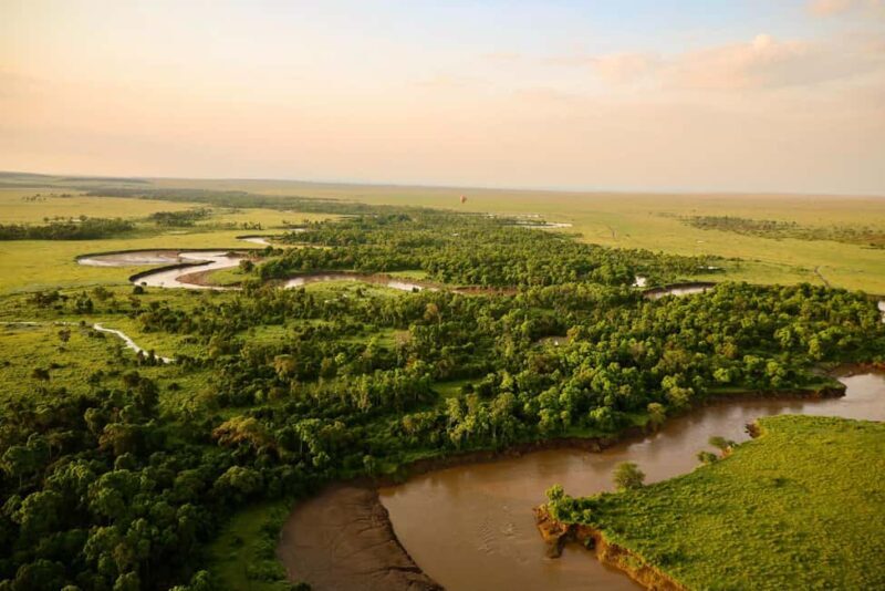 4 Days Tarangire and Serengeti Wildlife Budget Safari - Key Points
