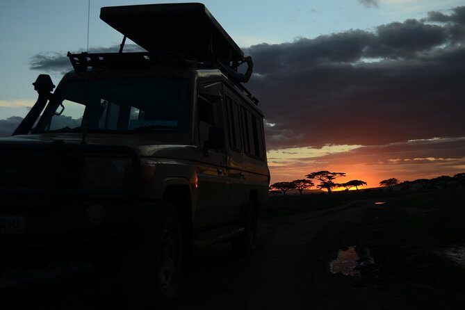 4 Days Tarangire ,Serengeti &Ngorongoro crater group Tour - The Value of This Safari