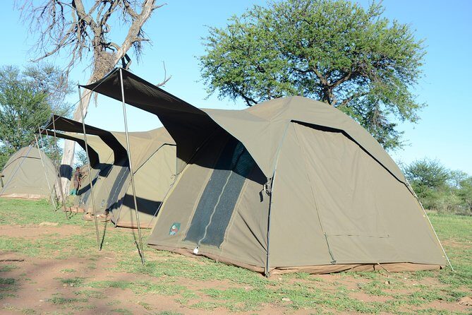 4 Days Tarangire ,Serengeti &Ngorongoro crater group Tour - Who Should Consider This Tour?