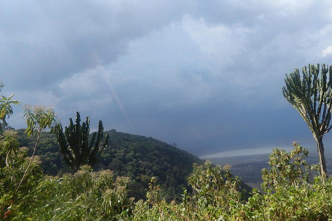 4 days Tarangire, Serengeti & Ngorongoro - Group Size & Atmosphere