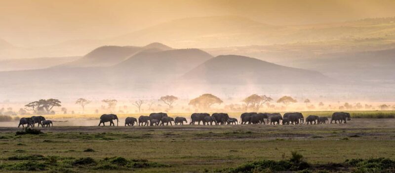 4 Days Tarangire, Serengeti, Ngorongoro Mid-range Safari - Key Points