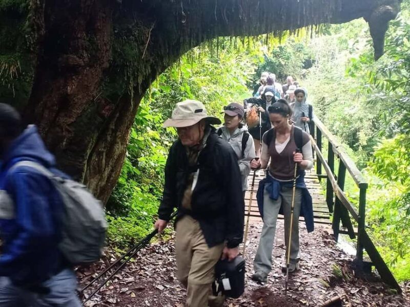 4-Days To Experience Majestic Of Mt. Meru - Arusha - Authenticity, Challenges, and Rewards
