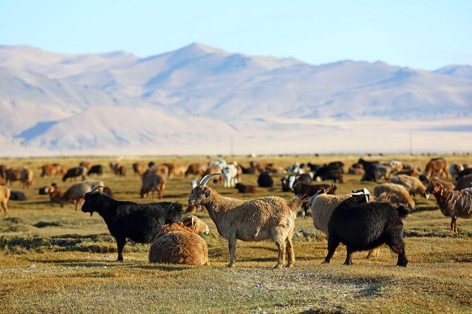 4 Days Tour: Central Mongolia - Exploring Mongolia’s Historic Heart: Karakorum and Erdene Zuu Monastery