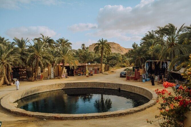 4 days tour package to Siwa oasis from Cairo - Who Would Love This Tour?