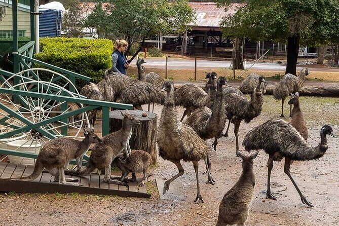 4 Days Tour to Pink Lake Kalbarri, Margaret River and South West - Introduction: Why Consider This Tour?