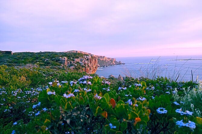 4 Days Tour to Pink Lake Kalbarri, Margaret River and South West - Day 4: Forests, Wineries, and Ocean Waves