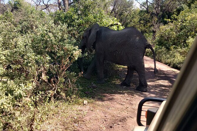 4-Days Tour to Tanzania National parks - FAQ about the 4-Day Tanzania National Parks Tour