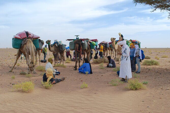 4 days trek - The legs of camels - Who Will Love This Tour?