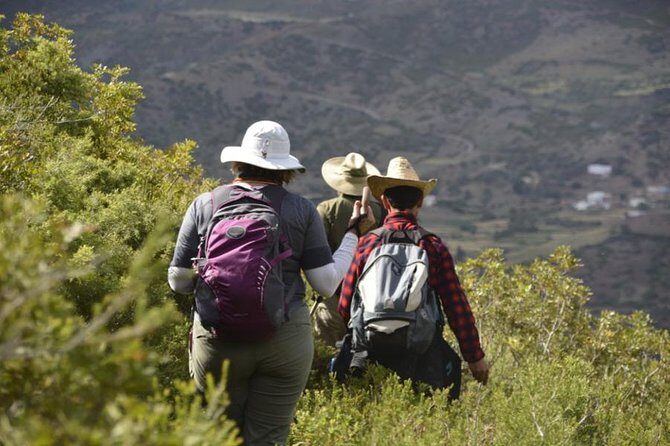4 days trekking in the Rif mountains - Who Should Consider This Tour?