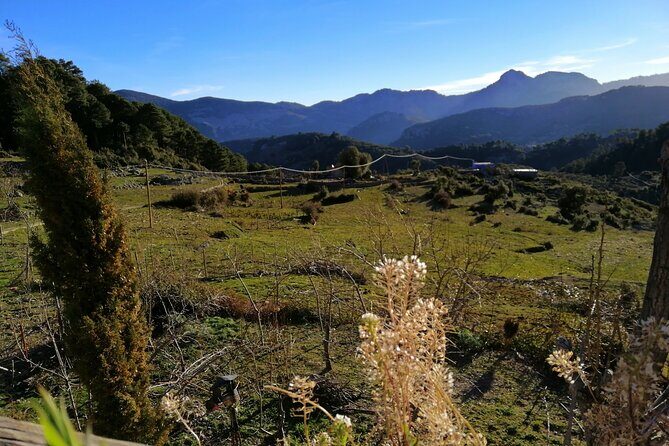 4 days trekking in the Rif mountains - Final Thoughts: Is It Worth It?