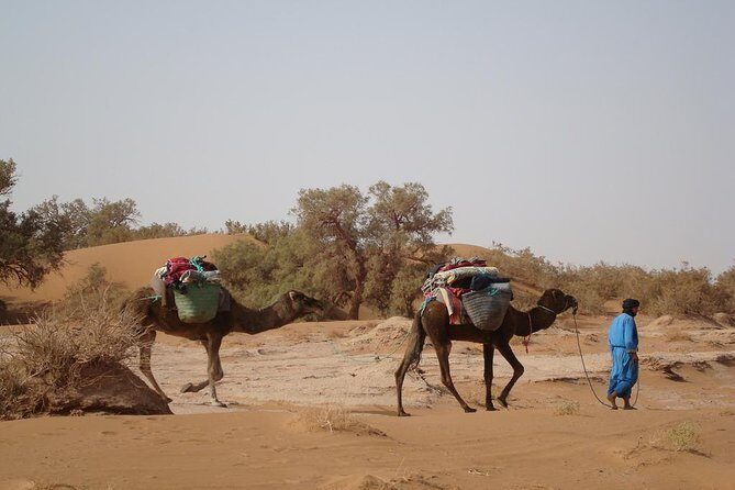 4 Days Trekking To The Heart Of Desert - Starting the Journey: From Marrakech to the Desert