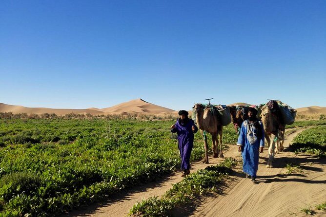4 Days Trekking To The Heart Of Desert - The Sum Up