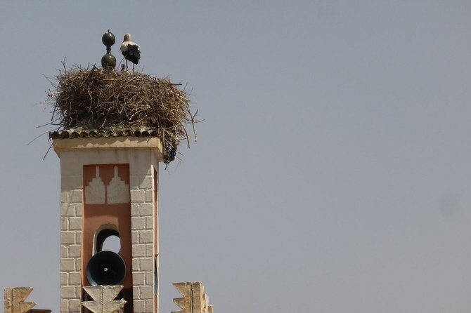 4 days trip: Fes to Marrakech with desert break - Final Thoughts