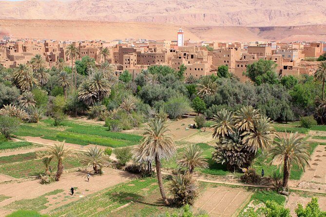 4 Days Trip From Marrakech to Fez via Desert with Night in Luxury Desert Camp - An In-Depth Look at the 4-Day Marrakech to Fez Tour