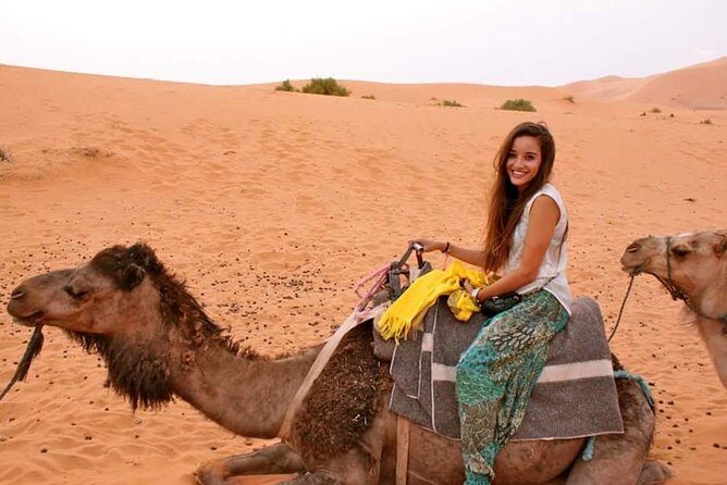 4 days trip MARRAKESH to FEZ with 2 nights in MERZOUGA DESERT - Final Thoughts