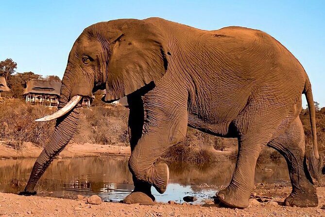 4 Days Victoria Falls Safari Tour & Chobe National Park game drive - Final Thoughts