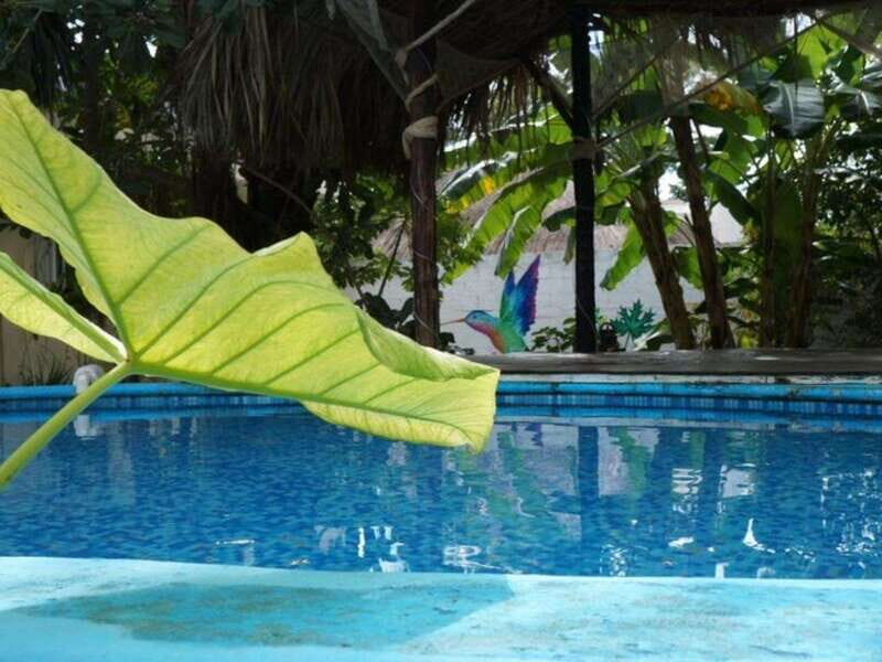 4 Days Yoga, Snorkel and Horseback Riding in Cozumel - Deep Dive into the Itinerary