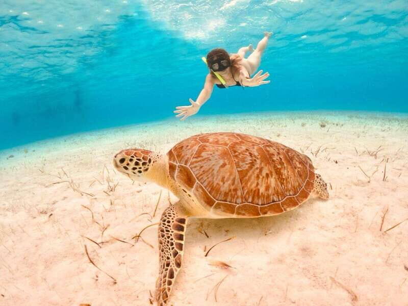 4 Days Yoga, Snorkel and Horseback Riding in Cozumel - The Value of the Activities