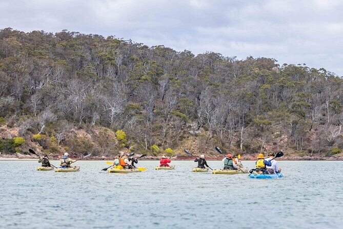 4 Hour Aboriginal Culture Tour Kayaking Pambula River - Authentic Experiences That Resonate
