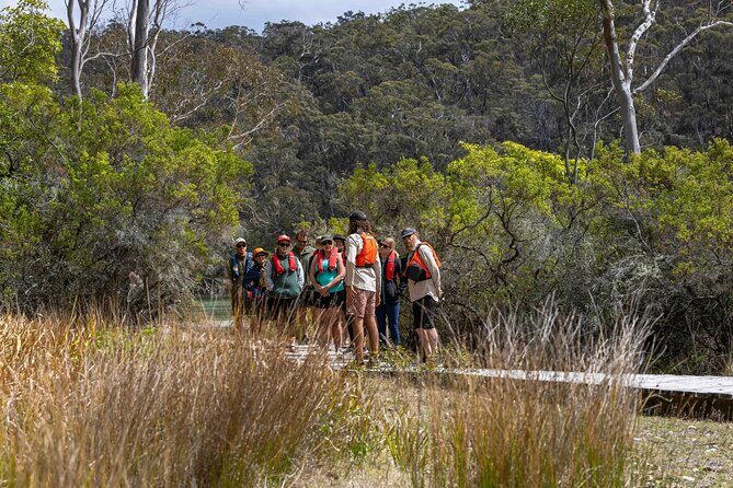 4 Hour Aboriginal Culture Tour Kayaking Pambula River - Who Will Appreciate This Tour?