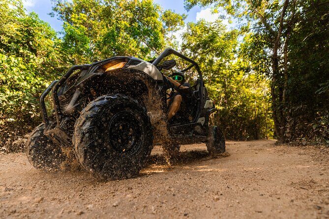 4-Hour Cancun Jungle Buggy Tour with Zipline Circuit & Cenote - An In-Depth Look at the Cancun Jungle Buggy Tour