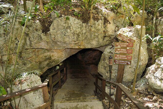 4-Hour Cenotes Tour with Hotel Pickup in Riviera Maya - What Travelers Are Saying